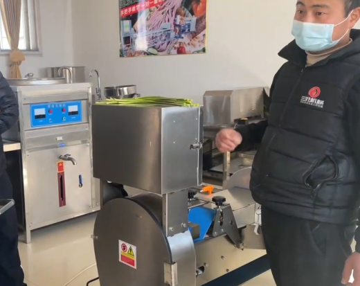 切菜機(jī)切菜效果 切菜機(jī)切菜效果