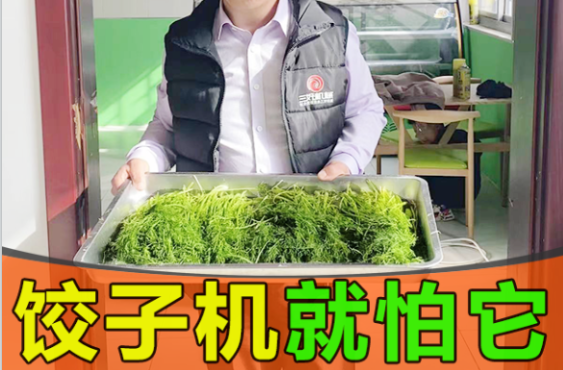 餃子機(jī)的缺點(diǎn)是什么 餃子機(jī)的缺點(diǎn)是什么