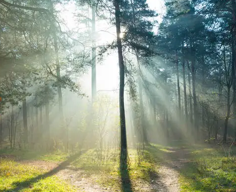 武漢面條機 武漢面條機