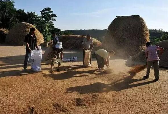 年輕人花拳繡腿，吹噓用包子機可以做老面包子？