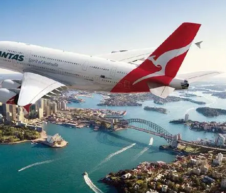 用什么樣的包子機可以做速凍包子？